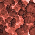 Nanopartículas de Cobre
